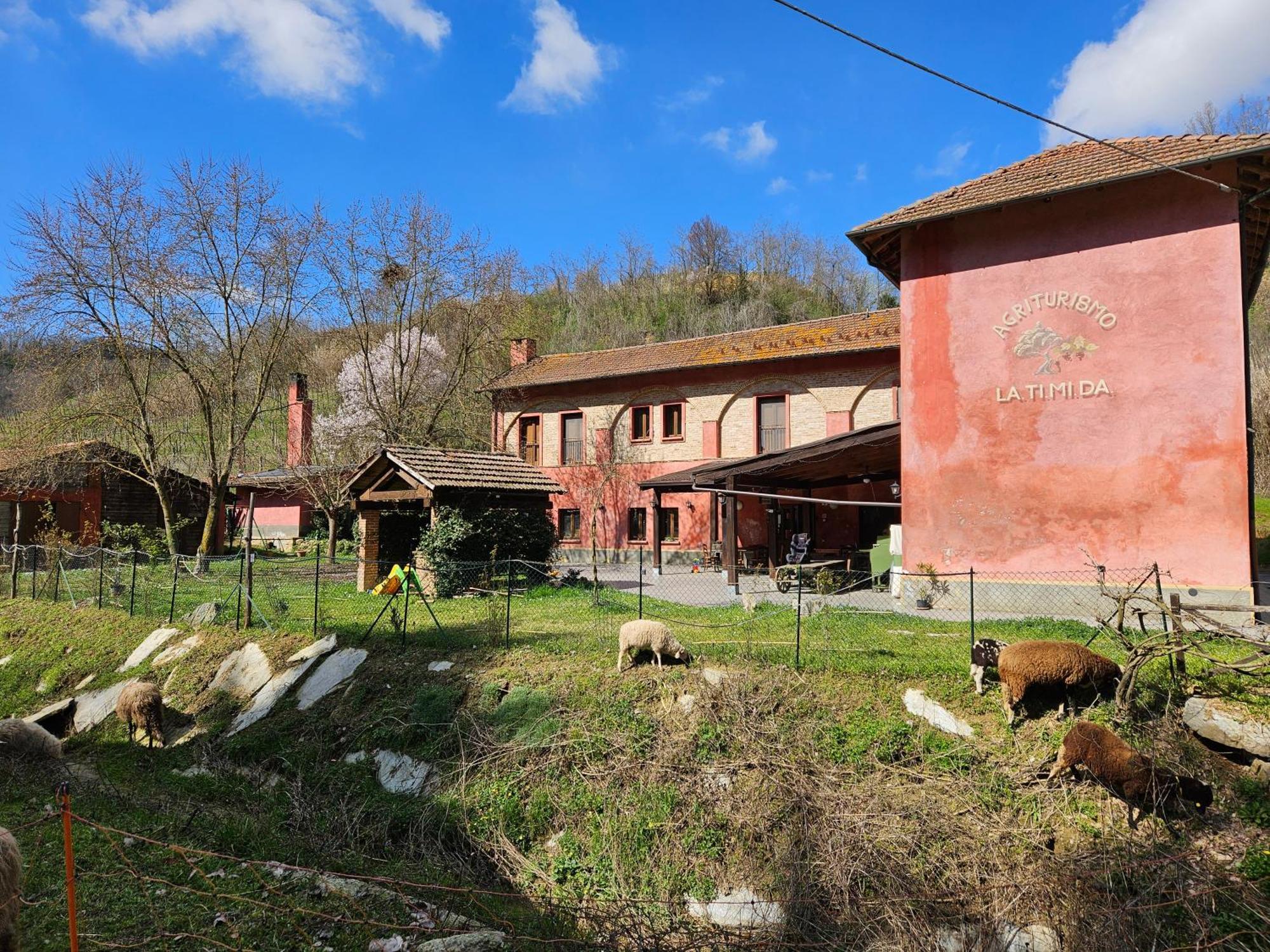 Agriturismo La.Ti.Mi.Da. Villa Cassine Bagian luar foto