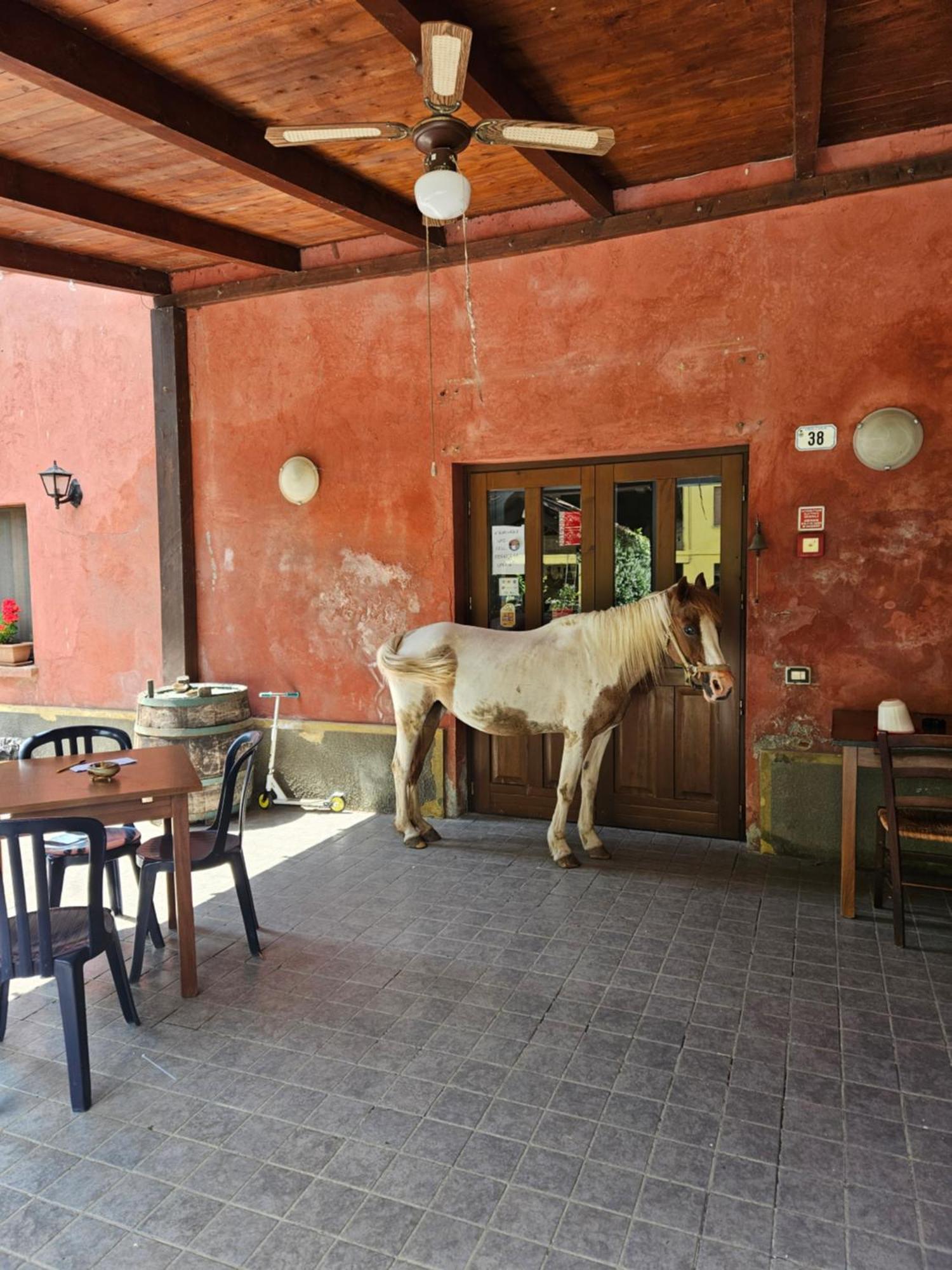 Agriturismo La.Ti.Mi.Da. Cassine Bagian luar foto