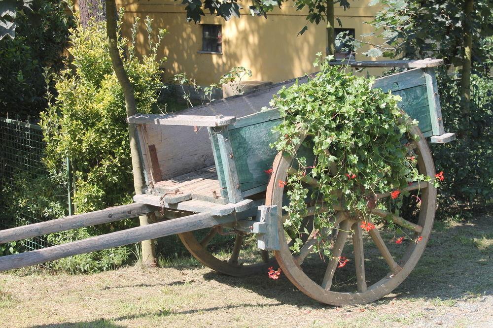 Agriturismo La.Ti.Mi.Da. Villa Cassine Bagian luar foto